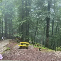 نیروی نظافت منزل و مراقبت کودکان