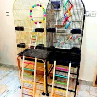 قفس عروس هلندی کوتوله گرینچیک و انواع پرندگان|لوازم جانبی حیوانات|اراک, |دیوار