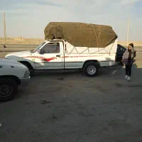 وانت بار شبانه روزی|خدمات حمل و نقل|تیمور آباد, |دیوار