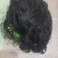 تور ماهیگیری|ماهیگیری|مشهد, رباط طرق|دیوار