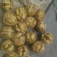 گردو تویسرکان|خوردنی و آشامیدنی|خمینی‌شهر, |دیوار