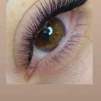 تخفیف اکستنشن مژه ،کاشت مژه،لیفت ابرو|خدمات آرایشگری و زیبایی|تهران, درختی|دیوار