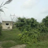 گلشن/۲۸هزارمترخانه محوطه وشالی سندتک‌برگ برآسفالت