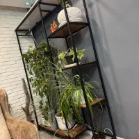استند مناسب گل،دکور بوتیک و لباس و دکوراتیو مغازه|فروشگاه و مغازه|پرند, فاز ۶|دیوار