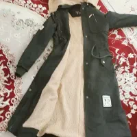 پالتو