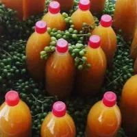 شیره انگور،آبغوره،خیار شور|خوردنی و آشامیدنی|کیش, |دیوار