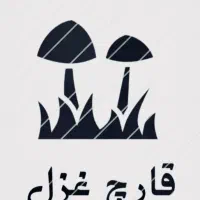 اموزش پرورش قارچ دکمه ای