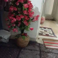 گل مصنوعی|گل مصنوعی|شیراز, جوادیه|دیوار