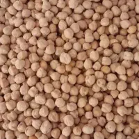نخود کروشه