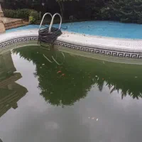 ماهی قرمز|ماهی|نوشهر, |دیوار