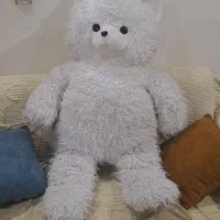 خرس بزرگ|اسباب‌‌بازی|گرگان, |دیوار