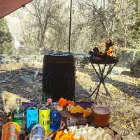 پارتنر طبیعت گردی|فعالیت داوطلبانه|ری, دولتآباد|دیوار