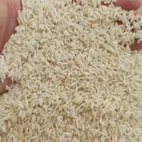 فروش عمده برنج علی کاظمی فوق ممتاز لرستان