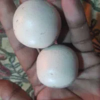 سنگ الماس آسیاب