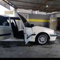 پارس تمیز خونگی