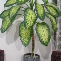 گل دیفن|گل مصنوعی|دیواندره, |دیوار
