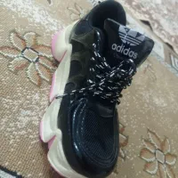 کفش نو دخترانه|کیف، کفش، کمربند|مریوان, |دیوار