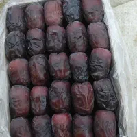 خرما مضافتی