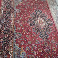 فرش دست باف گونه ۴×۳|فرش|مشهد, شهید قربانی|دیوار