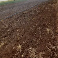 مه پاش کشاورزی