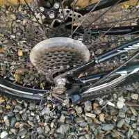 دوچرخه سالم|دوچرخه، اسکیت، اسکوتر|اسدآباد, |دیوار