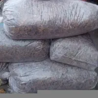 ذرت علوفه ای پر دانه