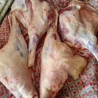 گوشت میش جوان فقط کیلو ۹۵۰هزار