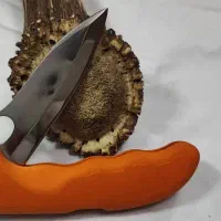 چاقو کلکسیونی و کمپینگ لوازم کوهنوردی|کوهنوردی و کمپینگ|تهران, ونک|دیوار