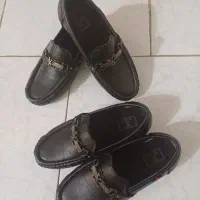 کالج سایز ۳۷