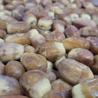 قسب زاهدی درجه یک|عمدهفروشی|ارم, |دیوار