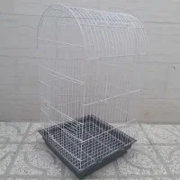 قفس