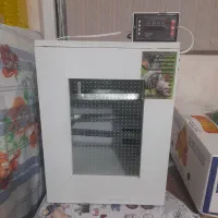 دستگاه جوجه کشی تمام اتوماتیک|لوازم جانبی حیوانات|شیراز, بهارستان|دیوار