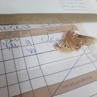 طلای دست دوم در حد نو با ۵ درصد