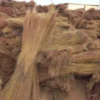 فروش جارو کلی