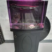 اکواریوم اب شور فلاور الیگیتور دراگون اروانا