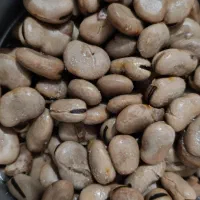 لوبیا چیتی|خوردنی و آشامیدنی|زرندیه, |دیوار