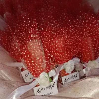 شمع|صنایع دستی و سایر لوازم تزئینی|رشت, فلسطین|دیوار