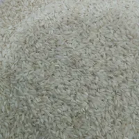 برنج عنبر بوه|خوردنی و آشامیدنی|شوشتر, |دیوار