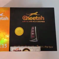 دزدگیر خودرو