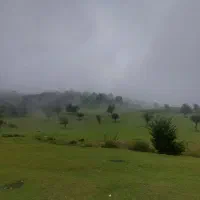 مدارک گم شده به اسم حمیدبهمیاری