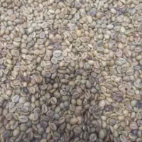 قوتو اصل ،قاووت|خوردنی و آشامیدنی|مشهد, حجت|دیوار