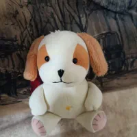 تعداد چهار عدد عروسک ۲۰۰