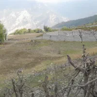 فروش زمین (ملک) شمال در آمل جاده هراز روستا شاهزید|فروش دفتر صنعتی، کشاورزی، تجاری|امامزاده عبدالله, |دیوار