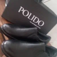 یک عدد کفش مردانه نونو