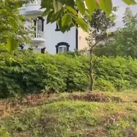 ۳۵۰ متر|فروش زمین و ملک کلنگی|هچیرود, |دیوار