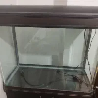 آکواریوم دلسا K800