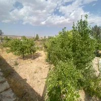 زمین ملکی۵۲۳ متری سرمایه گزاری باغ و ویلا|فروش زمین و ملک کلنگی|مشهد, عبادی|دیوار
