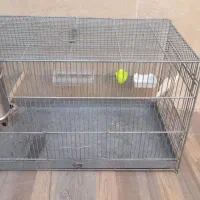 قفس حرفه ای غلامی در حد نو|لوازم جانبی حیوانات|شهرضا, |دیوار