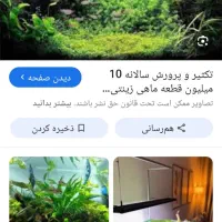 اکواریوم باوسایل تزیینی داخلش قیمت توافقی
