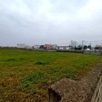 یک هکتار زمین سرمایه گذاری مناسب شهرکسازی|فروش زمین و ملک کلنگی|چمستان, |دیوار